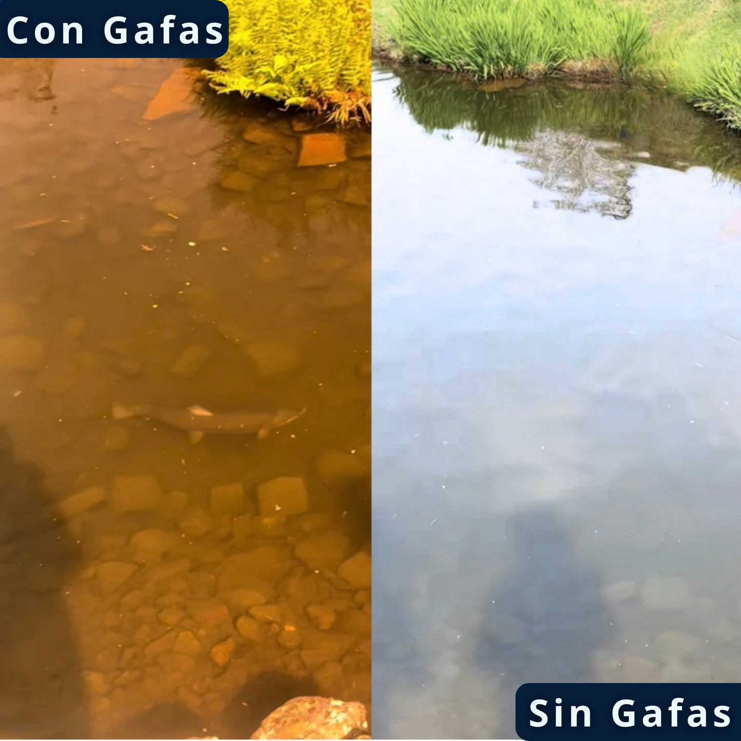 Gafas de Pesca Polarizadas